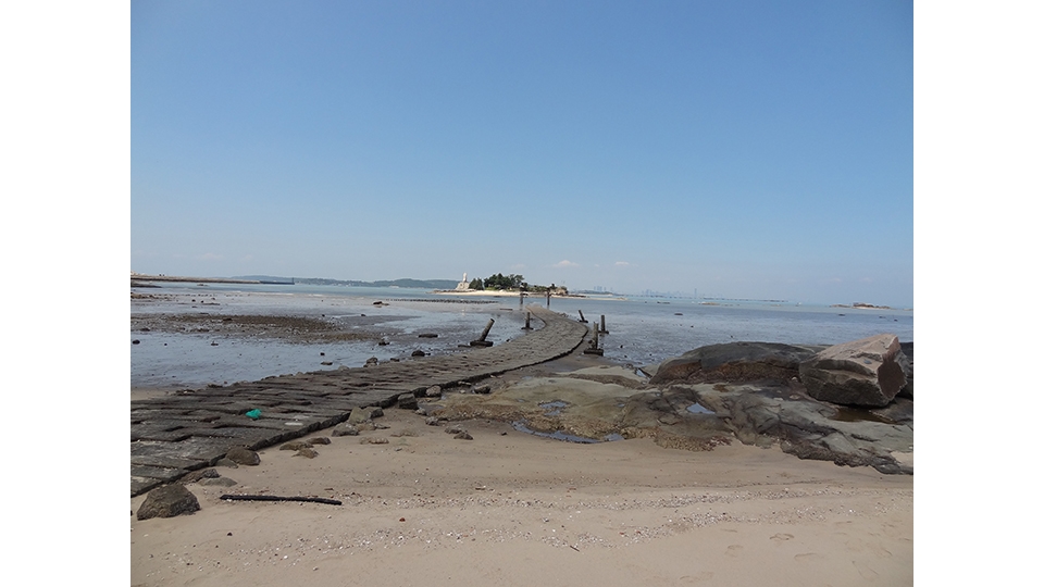 金門島建功嶼沿海邊，有一群由親子團體組成的海岸 巡守隊，在海灘上查訪以生存四億五千萬年的古老活化石動物三棘鱟的蹤跡。